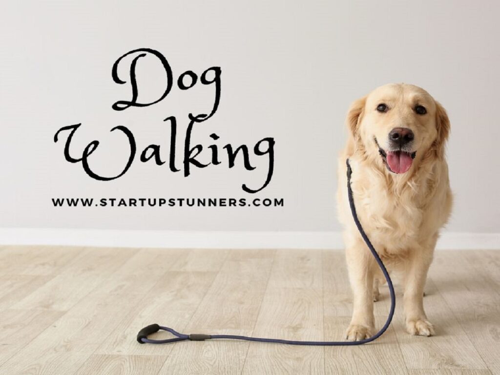 a dog standing on floor with a dog walking belt best for dog walking business