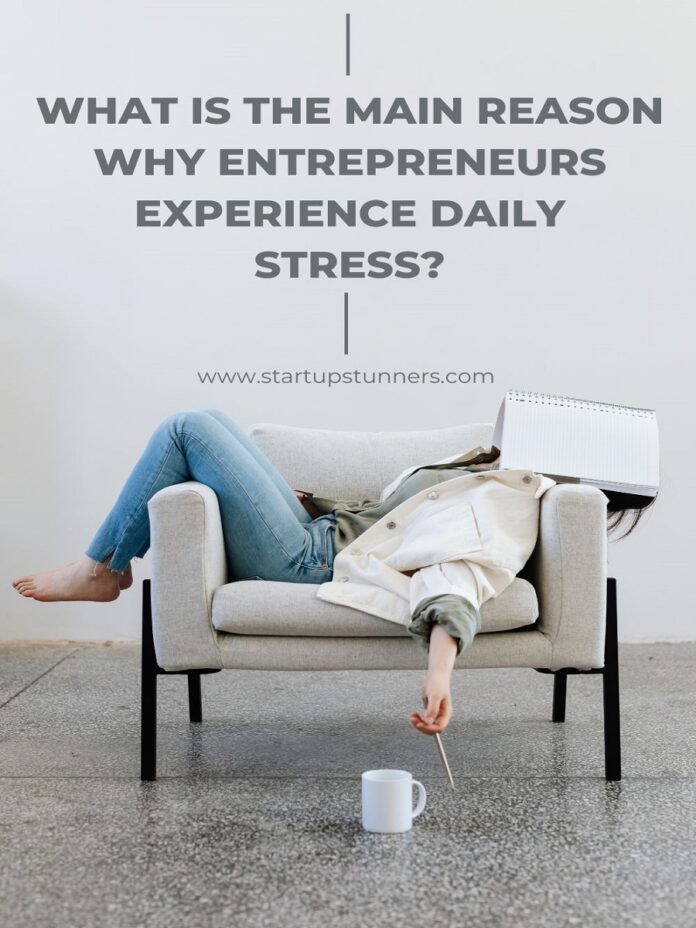 What is the Main Reason Why Entrepreneurs Experience Daily Stress