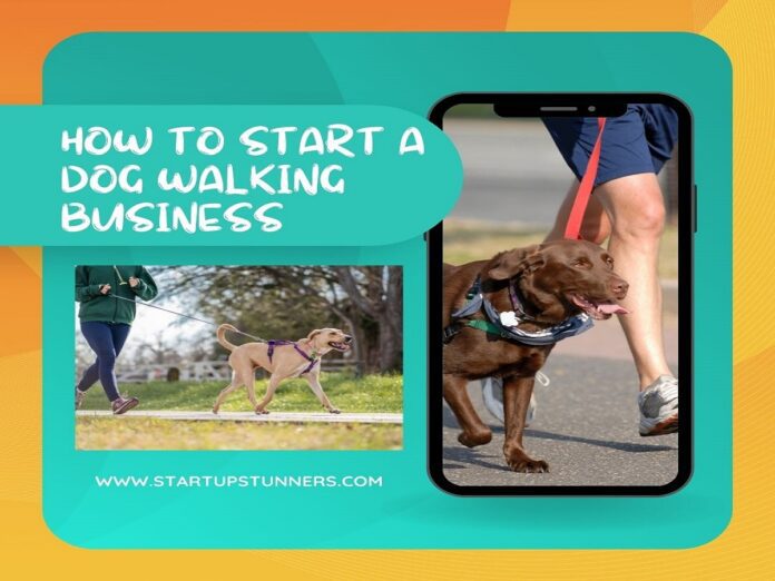 how to start a dog walking business