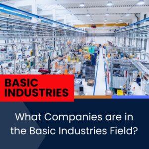 basic industries overview with white writing what companies are in basic industries field on blue background